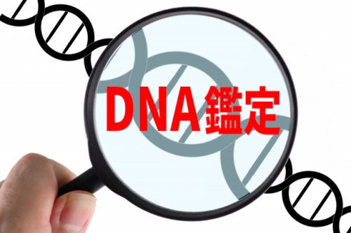 DNA鑑定