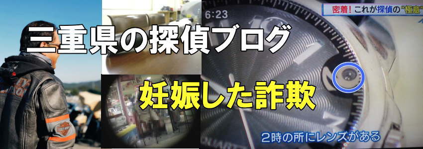 妊娠したという詐欺と書かれた探偵ブログヘッダー画像