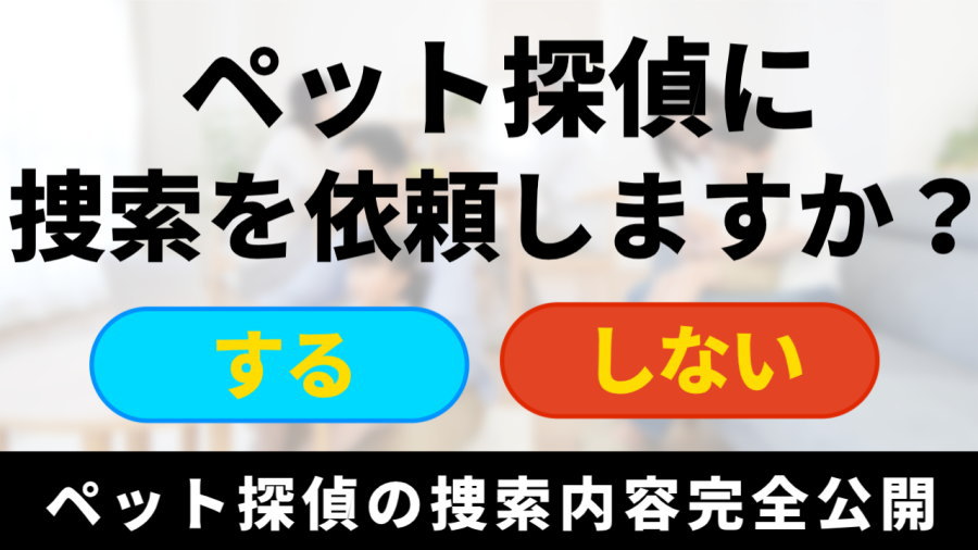 ペット探偵に捜索を依頼しますか?