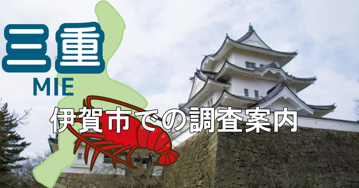 伊賀上野城と三重県地図に伊賀市での調査案内と書かれたヘッダー画像