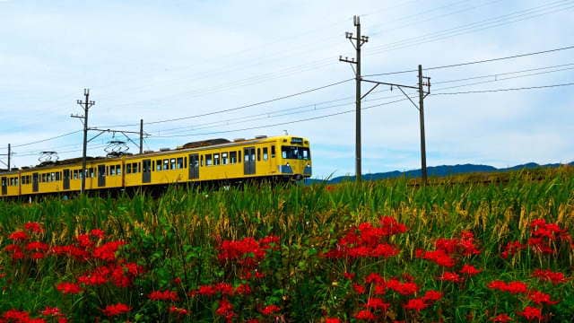 いなべ市の梅林公園と三重県地図