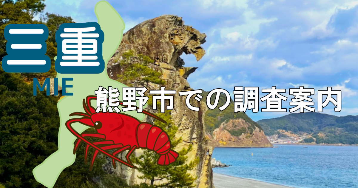 熊野市の鬼が城と三重県地図に東紀州地区での調査案内と書かれた画像