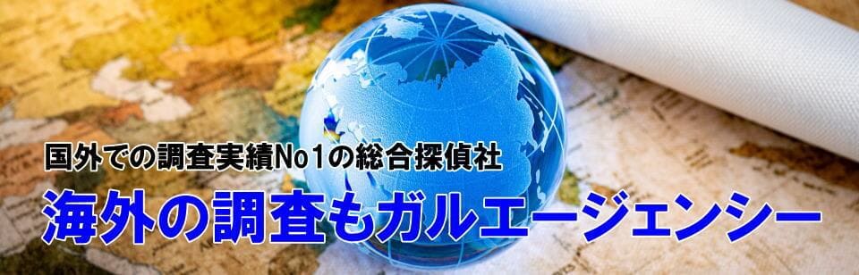 海外での調査サービス